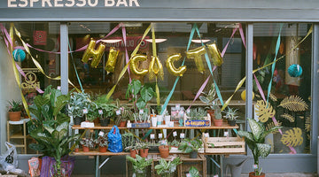 Hi Cacti Launches New Plant Shop in Brighton