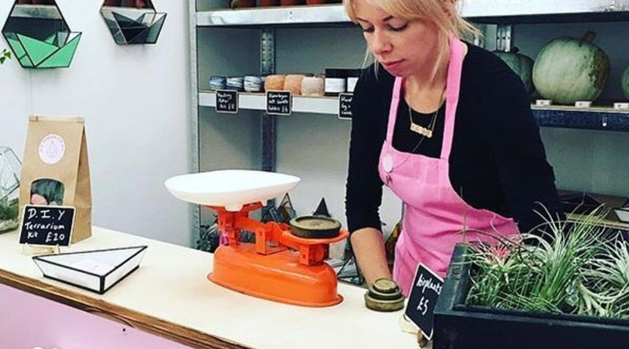 Meet The Makers of Hi Cacti: Glasshouse & Co