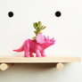 Triceratops Dinosaur Planter (+ cactus / succulent)