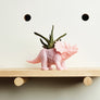 Triceratops Dinosaur Planter (+ cactus / succulent)
