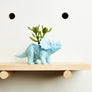 Triceratops Dinosaur Planter (+ cactus / succulent)