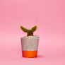 Small Colourful Concrete Cactus Pot brighton hi cacti easy care plants cactus shop