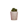 Small Concrete Plant Pot