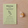 Holistic Combo: White Sage, Palo Santo & a Crystal.