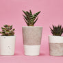 Tall Colourful Concrete Cactus Pot