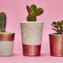 Tall Colourful Concrete Cactus Pot