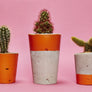 Tall Colourful Concrete Cactus Pot