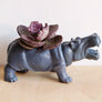 Hippo Planter (+ cactus / succulent)