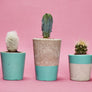 Tall Colourful Concrete Cactus Pot