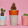 Colourful Concrete Cactus Pots: Set of three