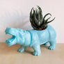 Hippo Planter (+ cactus / succulent)