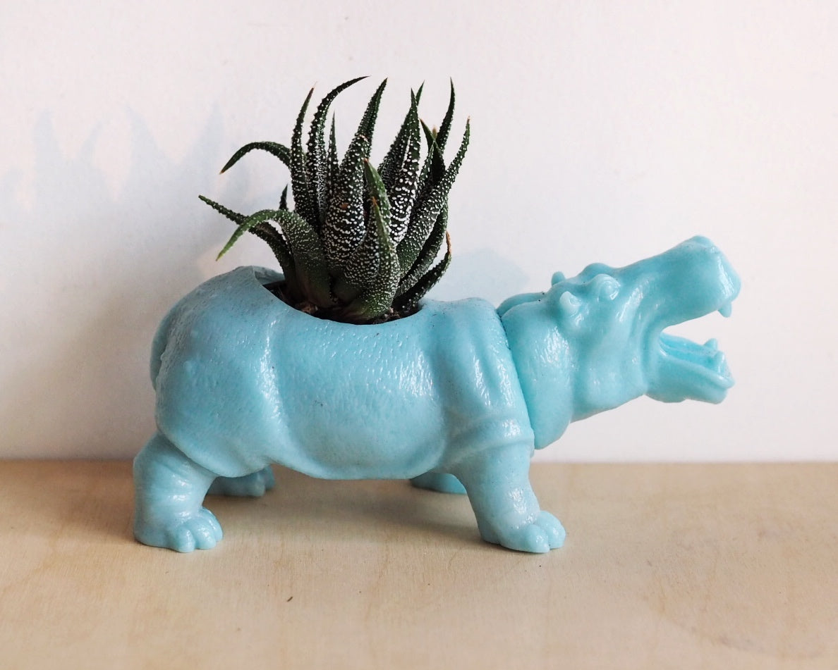 hippo succulent planter Hippo Planter (+ cactus / succulent) – Hi Cacti