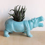 Hippo Planter (+ cactus / succulent)