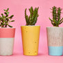Tall Colourful Concrete Cactus Pot