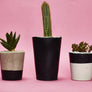 Colourful Concrete Cactus Pots: Set of three