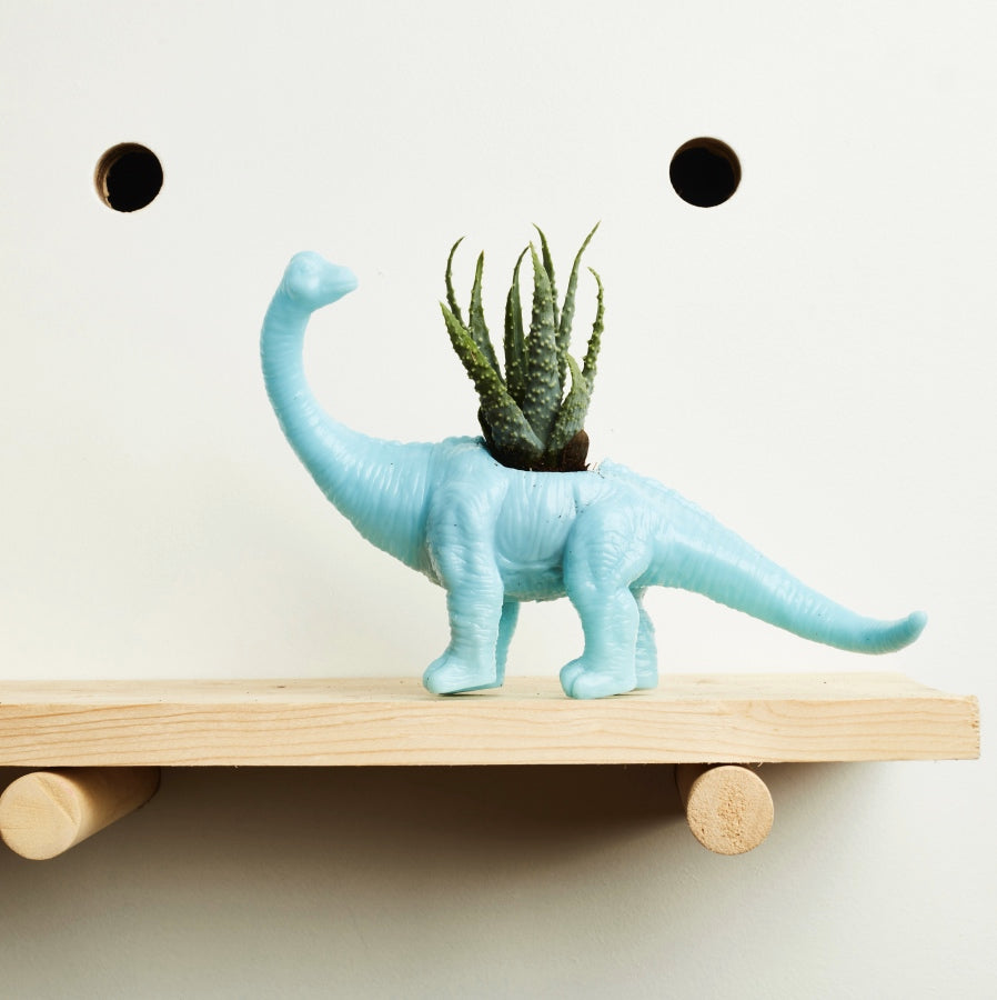 self watering dinosaur planter Brontosaurus Dinosaur Planter (+ cactus / succulent) – Hi Cacti