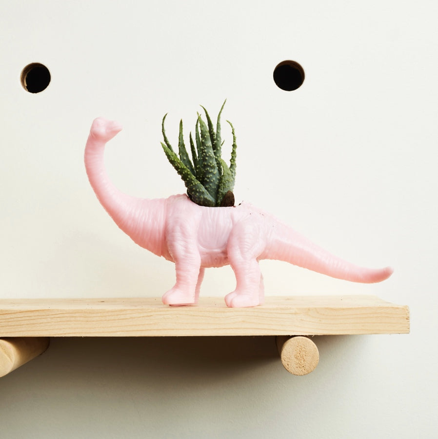 self watering dinosaur planter Brontosaurus Dinosaur Planter (+ cactus / succulent) – Hi Cacti
