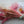Everlasting Flower Bouquet Hi Cacti dried floral arrangement
