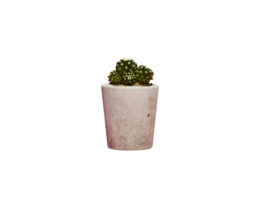 Small Concrete Plant Pot