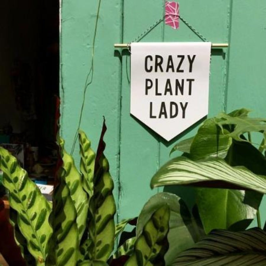 Crazy Plant Lady Banner Hi Cacti