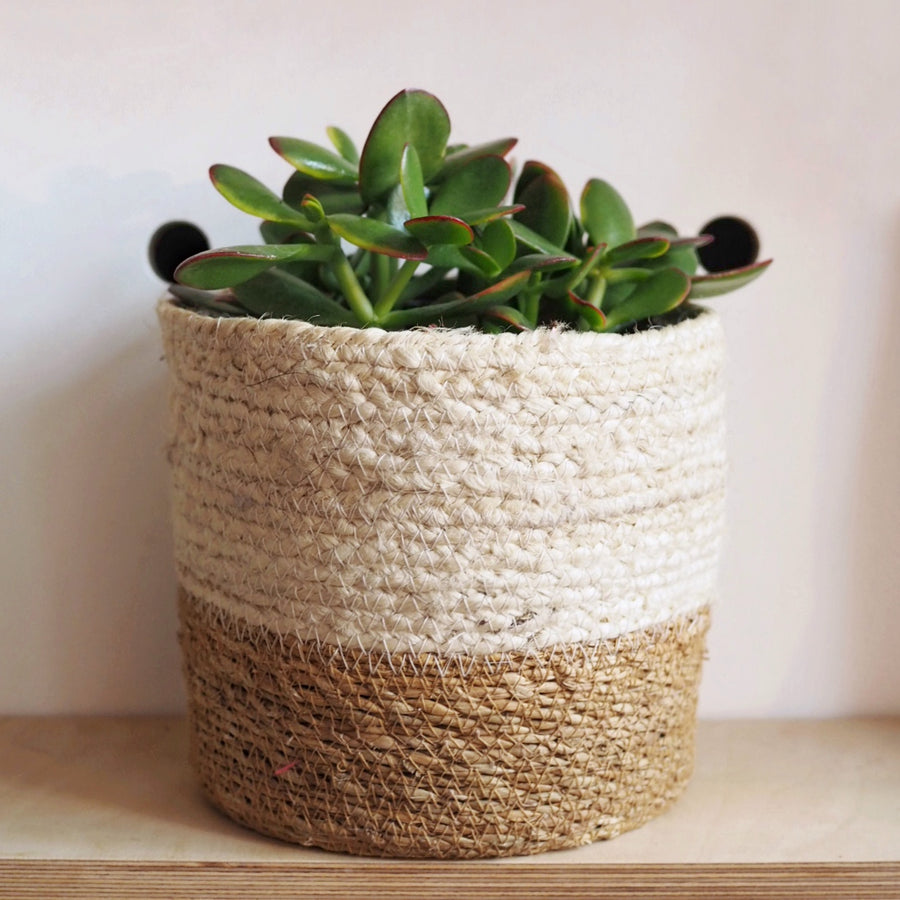 Woven Basket Plant Pot