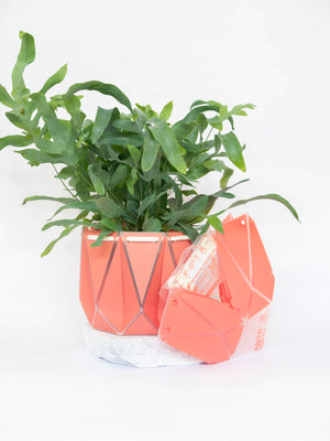 POTR Self-Watering Flat Pack Plant Pot