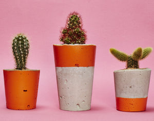 Tall Colourful Concrete Cactus Pot