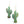 Plant Based Cactus Earrings Rosita Bonita