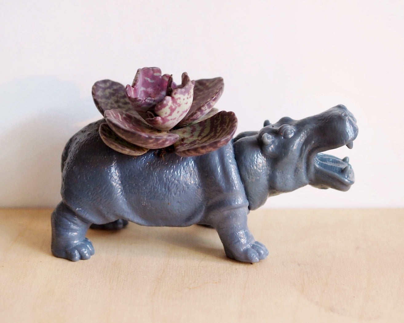hippo plant pot Hippo Planter (+ cactus / succulent) – Hi Cacti