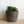 Marbled Terracotta Plant Pots