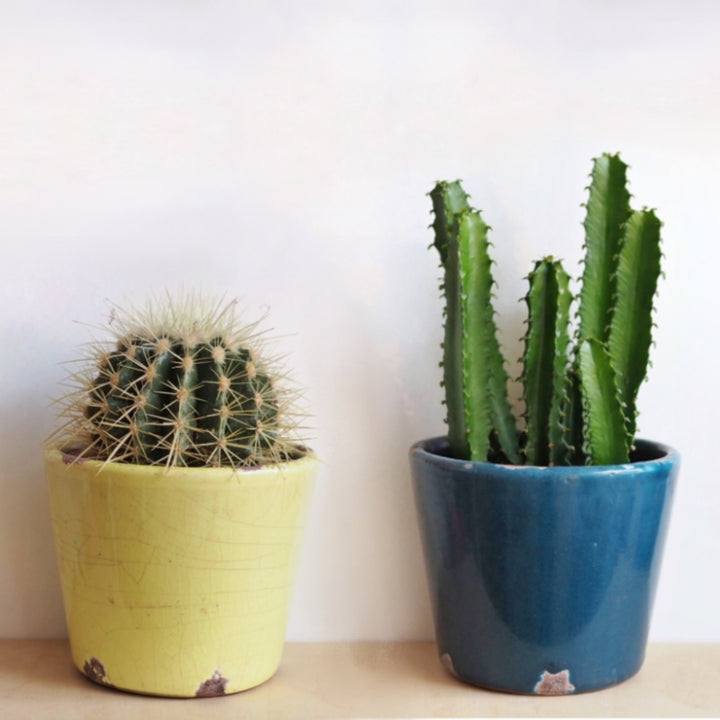 Crackled Rustic Plant Pot