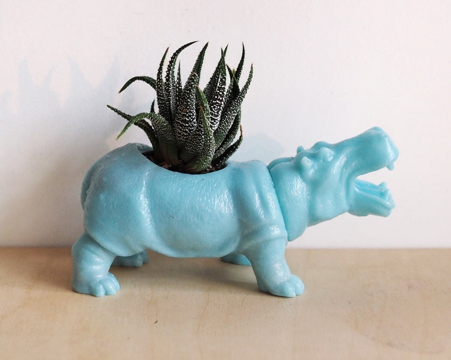 Hippo Planter (+ cactus / succulent)
