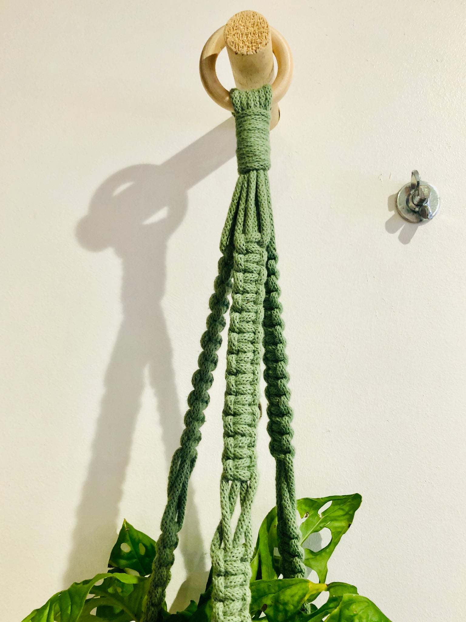 macrame hoop plant hanger Macrame Plant Hanger – Hi Cacti