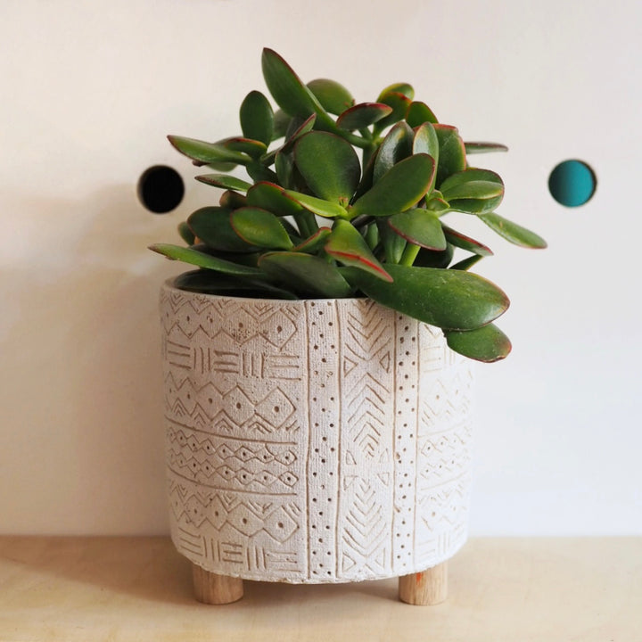 white geometric plant pot with feet from hi cacti