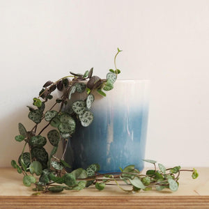 Blue Ombré Plant Pot