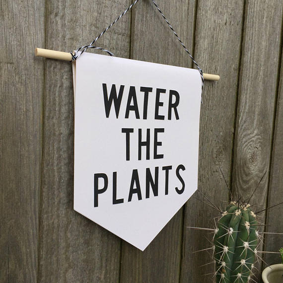 Pennant Flag 'Water the Plants' Plant killer banner