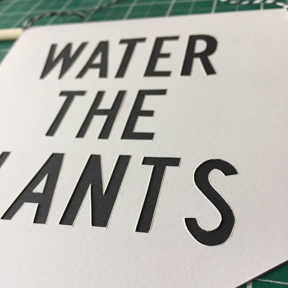 Pennant Flag 'Water the Plants' Houseplant banner