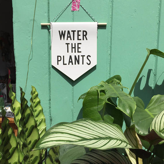 Pennant Flag 'Water the Plants' Hi Cacti & Porkchops papercuts